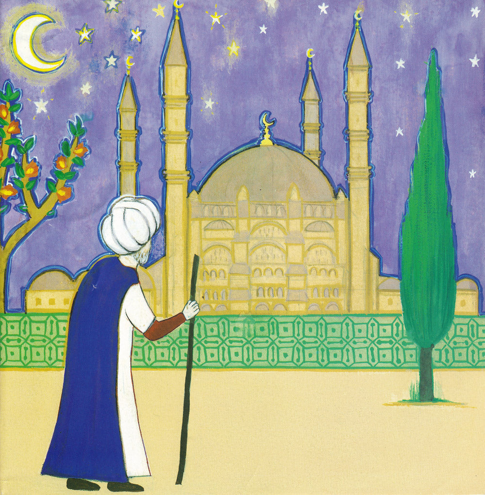 Sinan: Architect of Istanbul